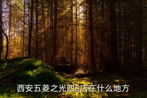 西安五菱之光四S店在什么地方