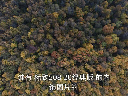 谁有 标致508 20经典版 的内饰图片的
