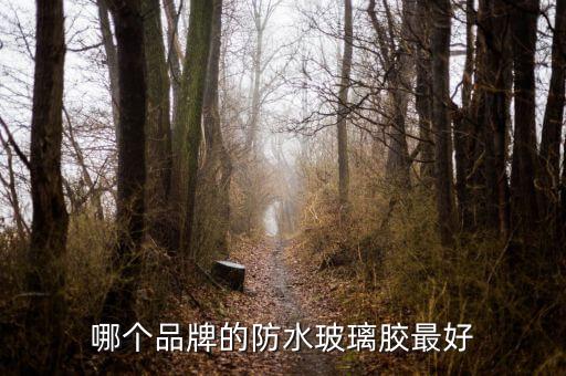哪个品牌的防水玻璃胶最好