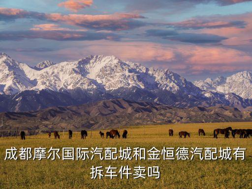 成都摩尔国际汽配城和金恒德汽配城有拆车件卖吗