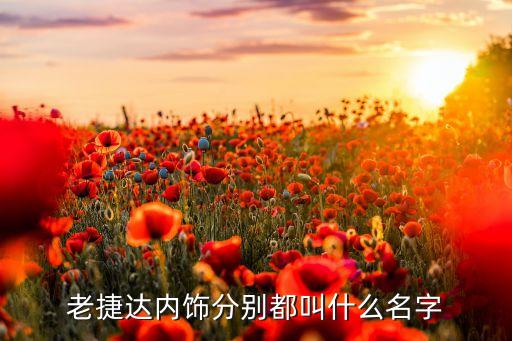 老捷达内饰分别都叫什么名字