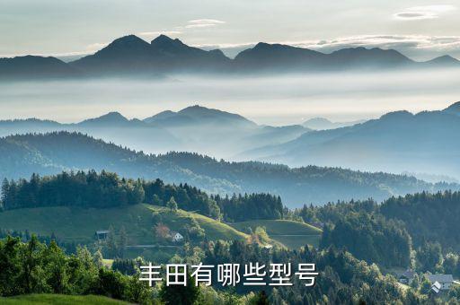 丰田有哪些型号