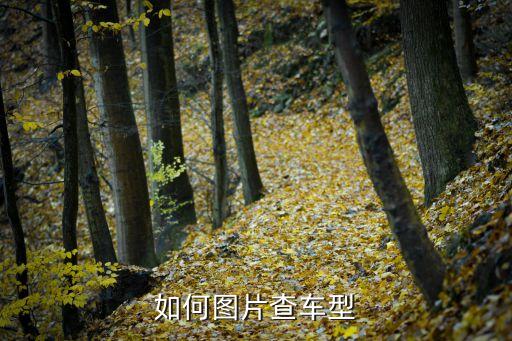 如何图片查车型