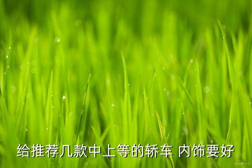 给推荐几款中上等的轿车 内饰要好
