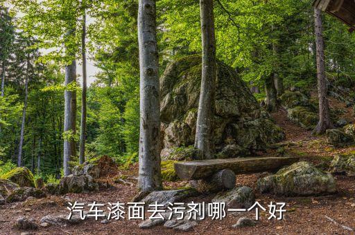 汽车漆面去污剂哪一个好
