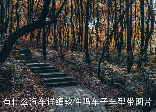 有什么汽车详细软件吗车子车型带图片