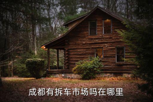 成都汽车拆车件市场在什么地方，成都摩尔国际汽配城和金恒德汽配城有拆车件卖吗
