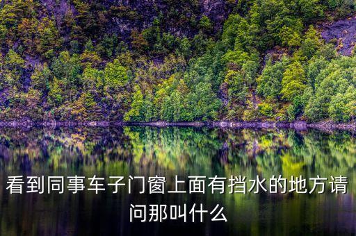 看到同事车子门窗上面有挡水的地方请问那叫什么