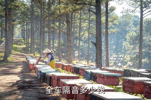 全车隔音多少钱