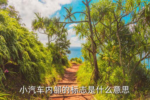 小汽车内部的标志是什么意思