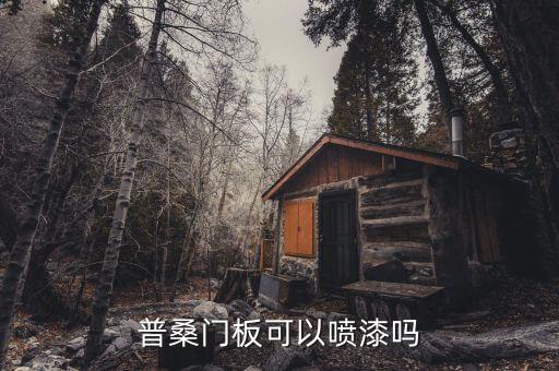 普桑门板可以喷漆吗