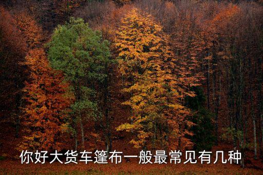 你好大货车篷布一般最常见有几种
