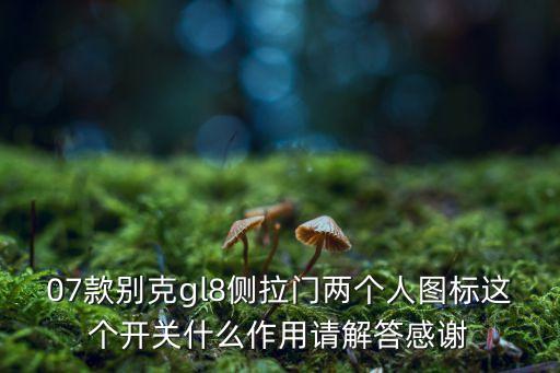 07款别克gl8侧拉门两个人图标这个开关什么作用请解答感谢