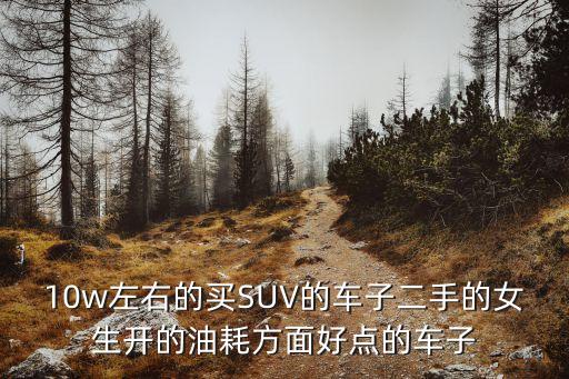 10w左右的买SUV的车子二手的女生开的油耗方面好点的车子