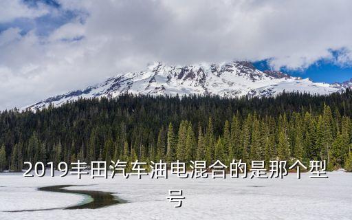 2019丰田汽车油电混合的是那个型号