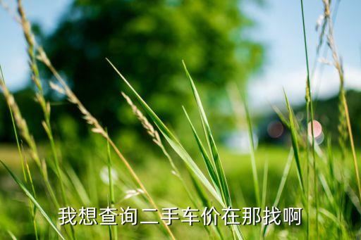 如何查二手车价格，我想查询二手车价在那找啊