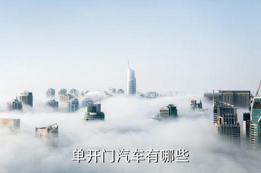 单开门汽车有哪些