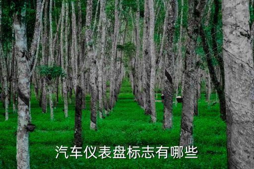 小车提示图标大全，汽车仪表盘标志有哪些