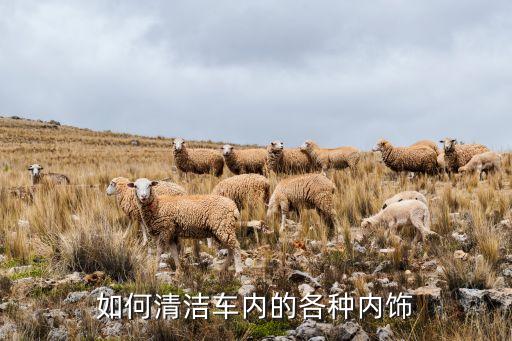 如何清洁车内的各种内饰