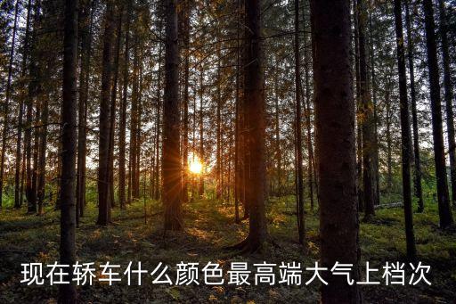 现在轿车什么颜色最高端大气上档次