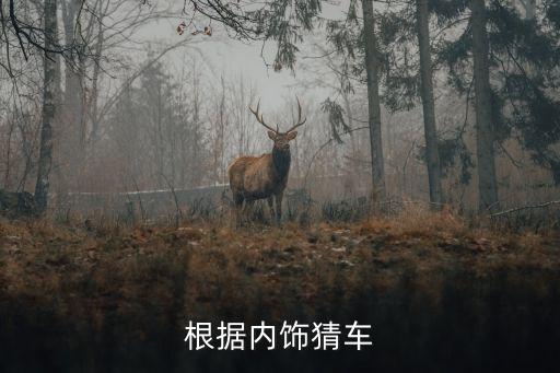 根据内饰猜车