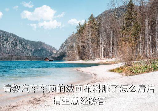 请教汽车车顶的绒面布料脏了怎么清洁请生意经解答