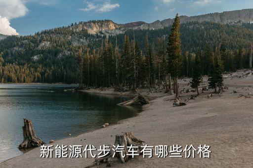 新能源代步汽车有哪些价格