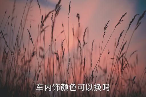 车内饰颜色可以换吗