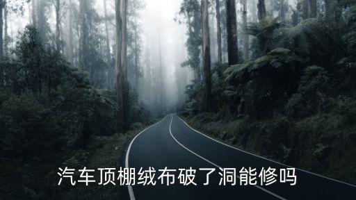汽车顶棚绒布破了洞能修吗