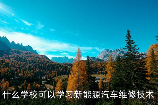 什么学校可以学习新能源汽车维修技术
