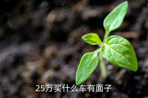 二十五万最有面子的车，25万买什么车有面子