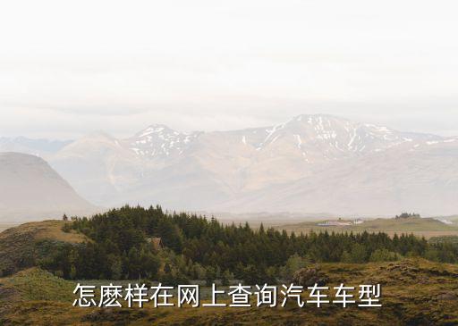 怎麽样在网上查询汽车车型