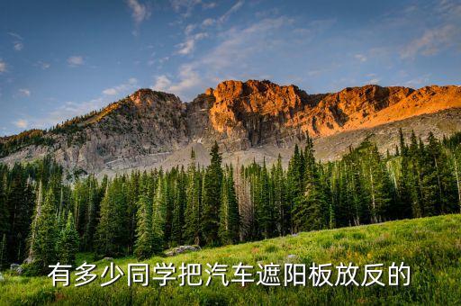 有多少同学把汽车遮阳板放反的