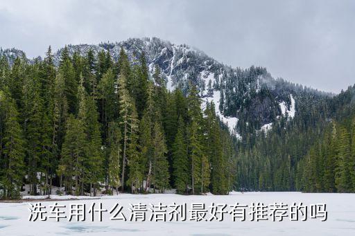 洗车用什么清洁剂最好有推荐的吗